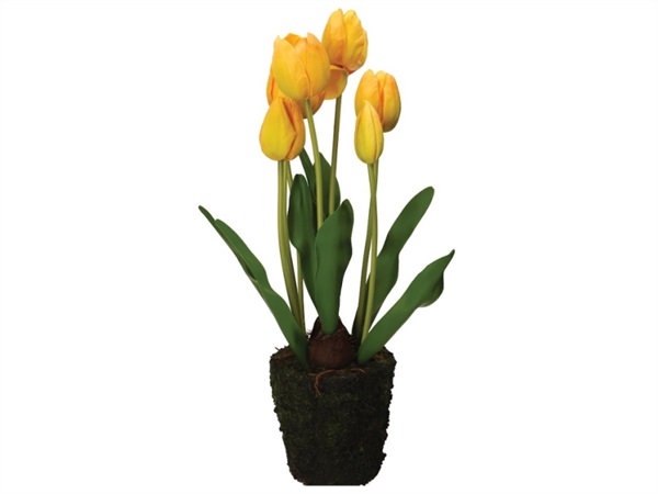 RITUALI DOMESTICI Anna, zolla tulipano giallo, taglia L