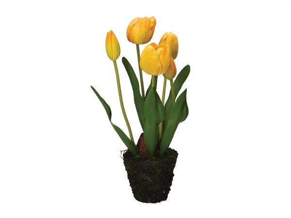 RITUALI DOMESTICI Anna, zolla tulipano giallo, taglia M