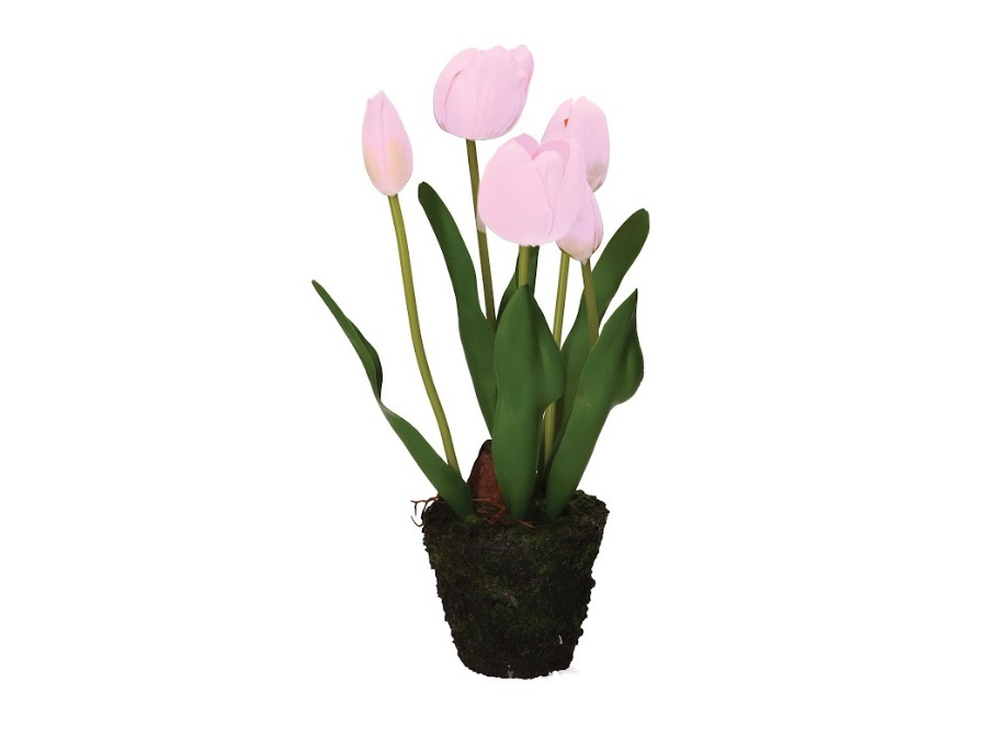 RITUALI DOMESTICI Anna, zolla tulipano fucsia, taglia M