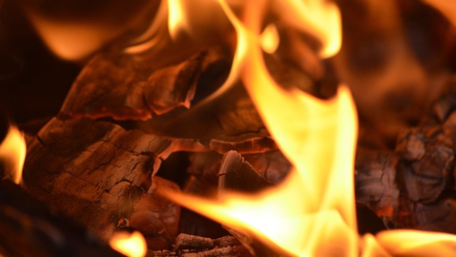 legna da ardere 50 kg camino stufa forno per pizza barbecue