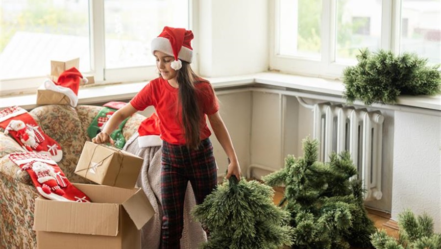 Come addobbare l'albero di Natale? Idee e tendenze