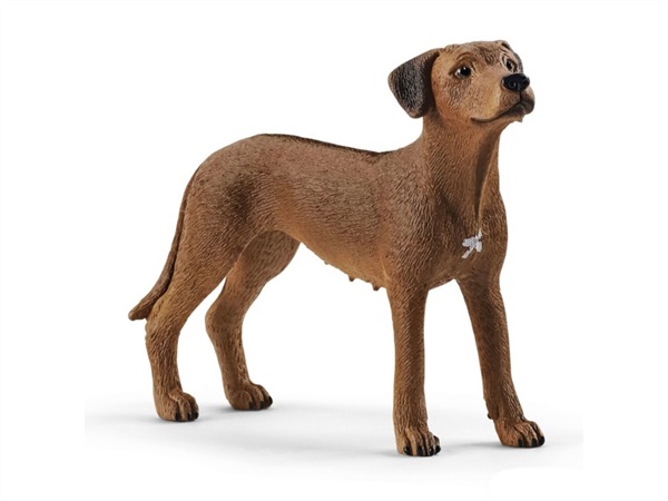 SCHLEICH RHODESIAN RIDGEBACK