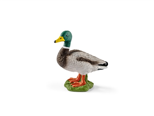 SCHLEICH MASCHIO DI ANATRA