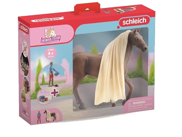 SCHLEICH Starter set Leo & Rochy