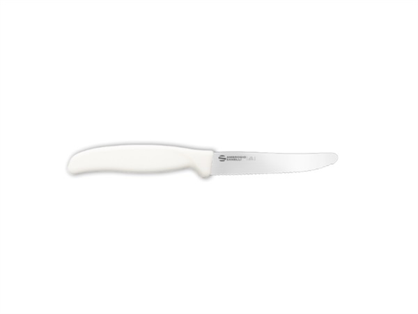 Sanelli Ambrogio coltello professionale Trinciante da cuoco alveolato Supra  24 cm