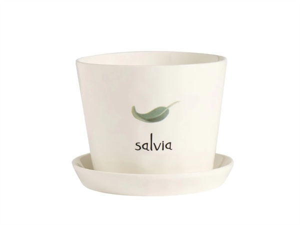 SIMPLE DAY LIVING & LIFESTYLE Vaso Salvia, con sottovaso
