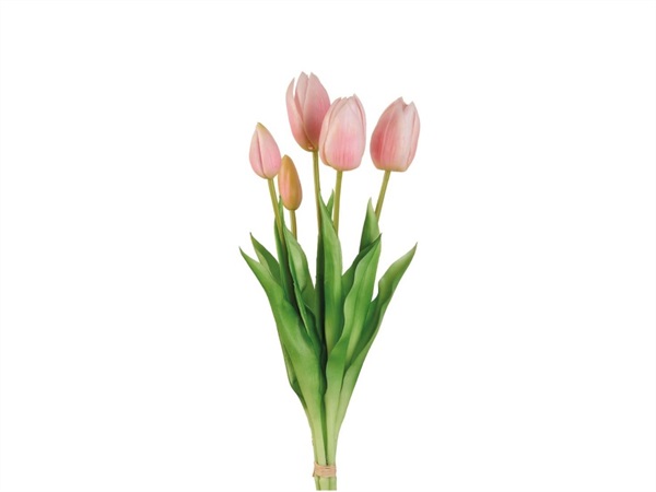 L'OCA NERA Tulipani rosa