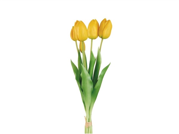 L'OCA NERA Tulipani gialli