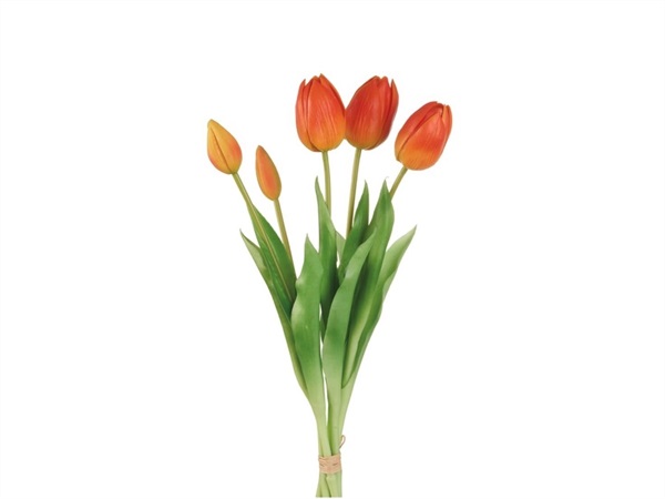 L'OCA NERA Tulipani arancioni