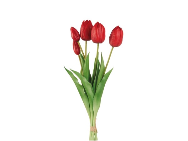 L'OCA NERA Tulipani rossi