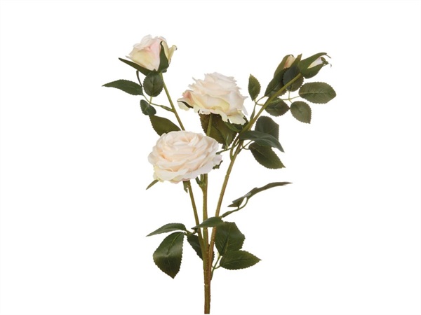 L'OCA NERA Rose bianche