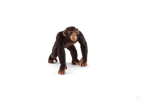 SCHLEICH Scimpanzè maschio