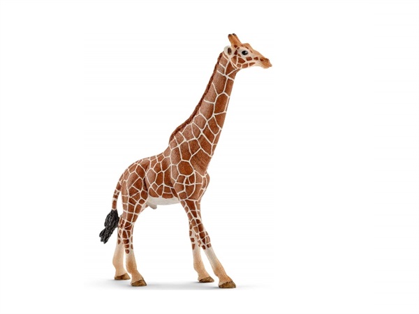 SCHLEICH Giraffa maschio