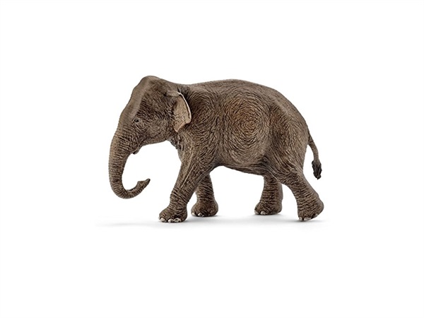 SCHLEICH Femmina di elefante asiatico