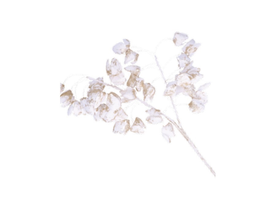 RITUALI DOMESTICI FLORA CHICHINGI BIANCO + GLITTER ORO