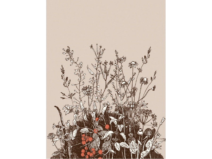 MAISON SUCREE Flowers plaid, 140x175