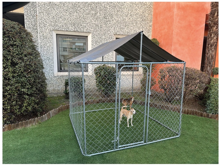 VERDELOOK Gabbia per cani, 2x2x2h mt