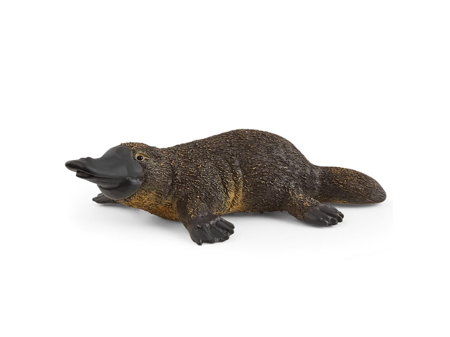 SCHLEICH ORNITORINCO