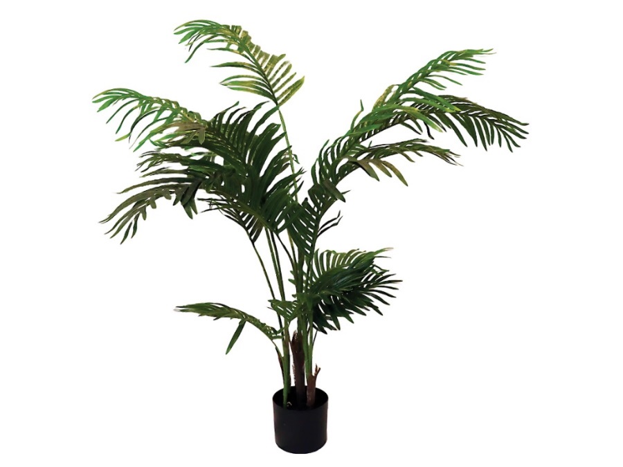 RITUALI DOMESTICI Piantala, areca in vaso, 145 cm