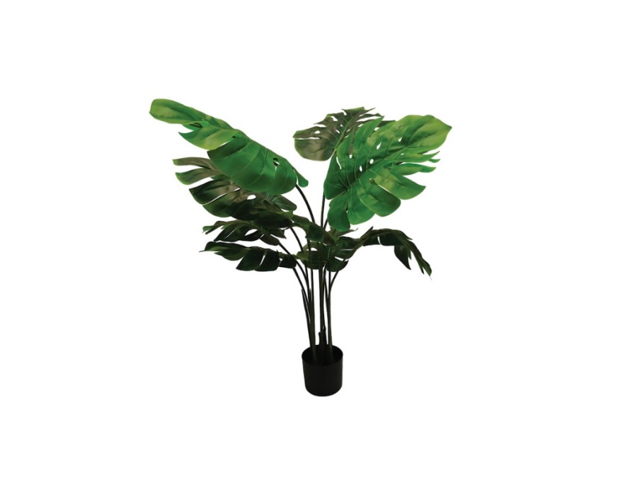 RITUALI DOMESTICI Piantala, monstera in vaso, 120 cm