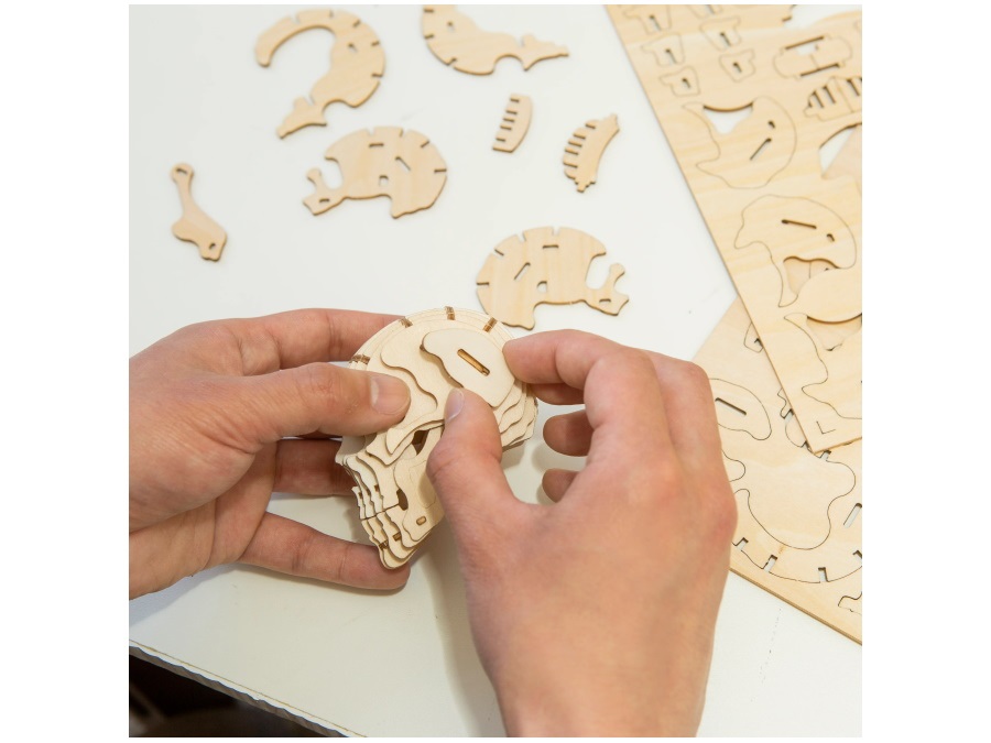 KIKKERLAND EUROPE Puzzle in legno 3D cranio