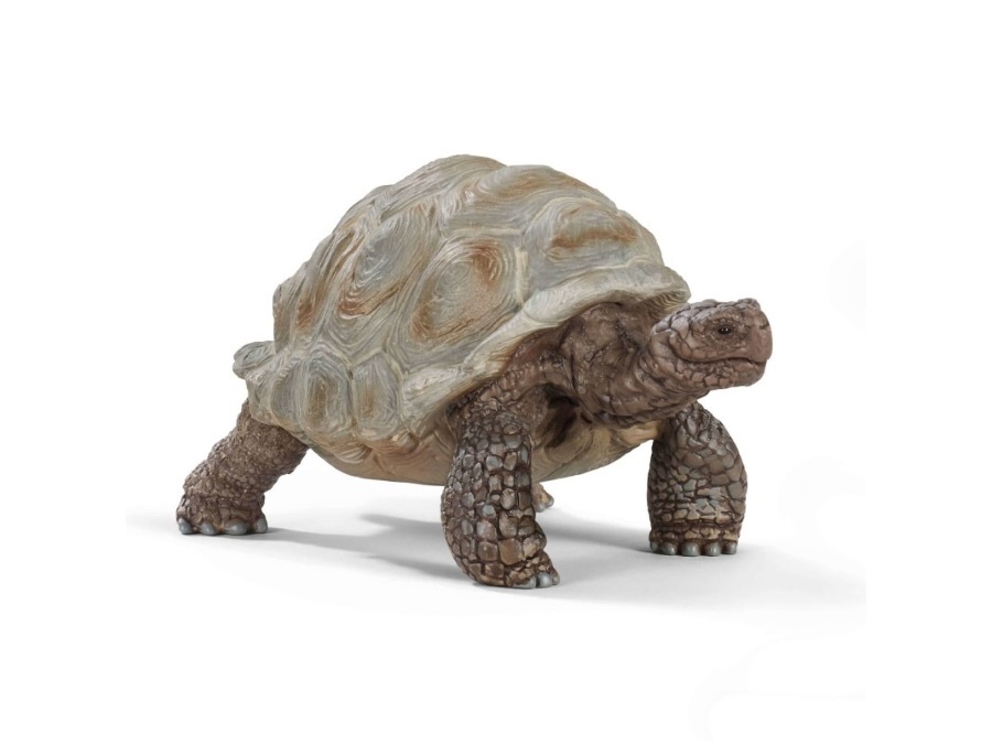 SCHLEICH TARTARUGA GIGANTE